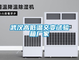 常見問題武漢高低溫交變試驗箱廠家
