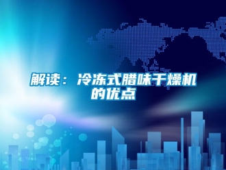 行業新聞解讀：冷凍式臘味干燥機的優點