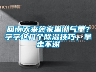 行業新聞回南天來襲家里潮氣重？學學這幾個除濕技巧，拿走不謝