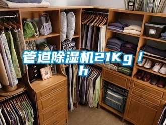 行業(yè)新聞管道除濕機(jī)21Kg／h