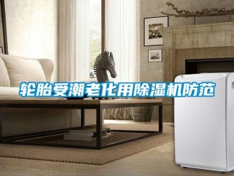 行業(yè)新聞輪胎受潮老化用除濕機防范