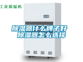 行業新聞除濕器什么牌子好 除濕器怎么選擇