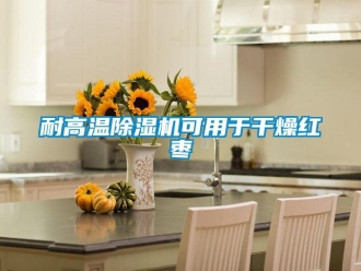 行業新聞耐高溫除濕機可用于干燥紅棗