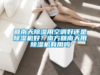 行業(yè)新聞回南天除濕用空調(diào)好還是除濕機好？南方回南天用除濕機有用嗎