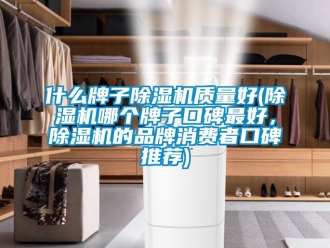 企業新聞什么牌子除濕機質量好(除濕機哪個牌子口碑最好，除濕機的品牌消費者口碑推薦)