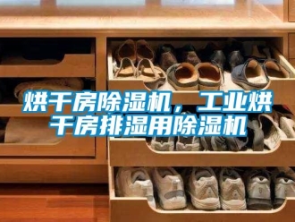 行業新聞烘干房除濕機，工業烘干房排濕用除濕機