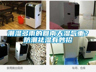 企業(yè)新聞潮濕多雨的回南天濕氣重？防潮祛濕有妙招
