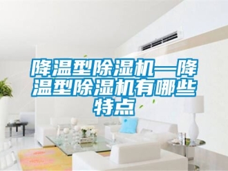 行業新聞降溫型除濕機—降溫型除濕機有哪些特點