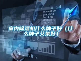 行業新聞室內除濕機什么牌子好（什么牌子艾條好）