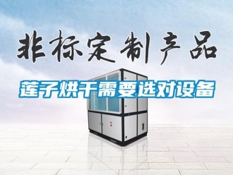 行業新聞蓮子烘干需要選對設備