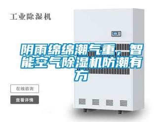 知識百科陰雨綿綿潮氣重，智能空氣除濕機(jī)防潮有方