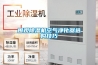 圍觀除濕機(jī)空氣凈化器選購(gòu)技巧