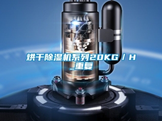 行業(yè)新聞烘干除濕機(jī)系列20KG／H_重復(fù)