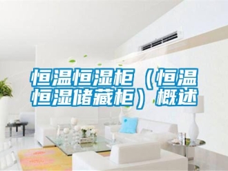 知識百科恒溫恒濕柜（恒溫恒濕儲藏柜）概述