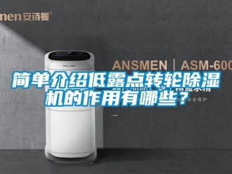 行業(yè)新聞簡(jiǎn)單介紹低露點(diǎn)轉(zhuǎn)輪除濕機(jī)的作用有哪些？