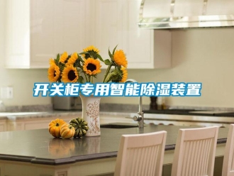 行業(yè)新聞開關(guān)柜專用智能除濕裝置