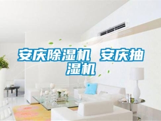 企業新聞安慶除濕機 安慶抽濕機