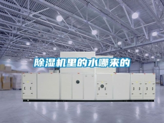 行業新聞除濕機里的水哪來的