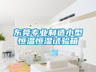 知識百科東莞專業制造小型恒溫恒濕試驗箱