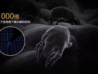 行業(yè)新聞螨蟲(chóng)高發(fā)季，家用除濕機(jī)除螨有妙計(jì)！