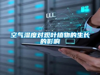 行業(yè)新聞空氣濕度對(duì)觀葉植物的生長的影響