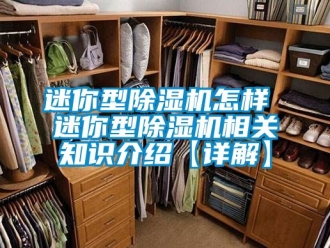 行業(yè)新聞迷你型除濕機(jī)怎樣 迷你型除濕機(jī)相關(guān)知識(shí)介紹【詳解】