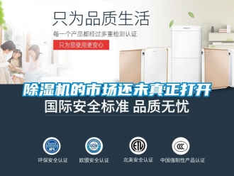 常見問題除濕機的市場還未真正打開