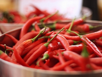 行業新聞辣椒烘干，使用高溫烘干除濕機