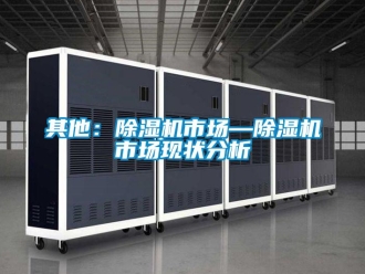 行業新聞其他：除濕機市場—除濕機市場現狀分析