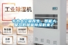 專為大空間而生，智能大吸力低噪音除濕機來了