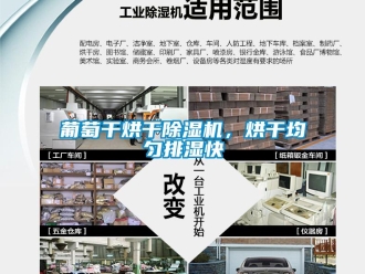 行業(yè)新聞葡萄干烘干除濕機(jī)，烘干均勻排濕快