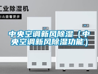 企業(yè)新聞中央空調(diào)新風(fēng)除濕（中央空調(diào)新風(fēng)除濕功能）