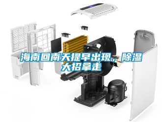 行業(yè)新聞海南回南天提早出現(xiàn)，除濕大招拿走