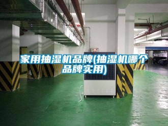 企業新聞家用抽濕機品牌(抽濕機哪個品牌實用)