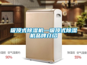 企業新聞吸頂式除濕機—吸頂式除濕機品牌介紹