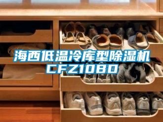 行業新聞海西低溫冷庫型除濕機CFZ10BD
