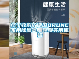 行業新聞終于收割了德國BRUNE家用除濕器，聊聊實用體驗