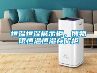 知識(shí)百科恒溫恒濕展示柜，博物館恒溫恒濕存儲(chǔ)柜