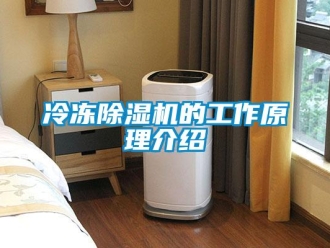 行業(yè)新聞冷凍除濕機(jī)的工作原理介紹