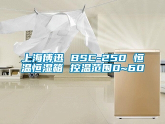 知識百科上海博迅 BSC-250 恒溫恒濕箱 控溫范圍0~60℃