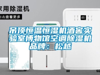企業新聞吊頂恒溫恒濕機酒窖實驗室博物館空調除濕機品牌：松越