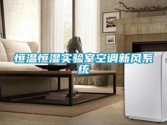 知識(shí)百科恒溫恒濕實(shí)驗(yàn)室空調(diào)新風(fēng)系統(tǒng)