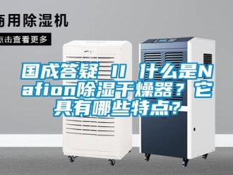 行業新聞國成答疑 II 什么是Nafion除濕干燥器？它具有哪些特點？