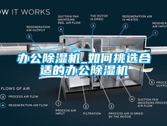 企業(yè)新聞辦公除濕機_如何挑選合適的辦公除濕機