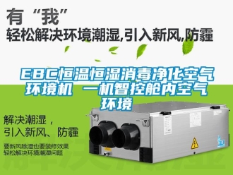 常見問題EBC恒溫恒濕消毒凈化空氣環境機 一機智控艙內空氣環境