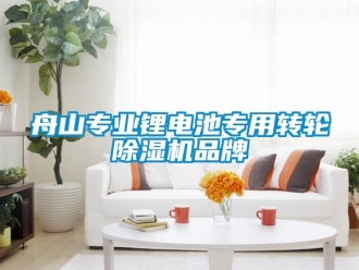 常見問題舟山專業(yè)鋰電池專用轉(zhuǎn)輪除濕機品牌