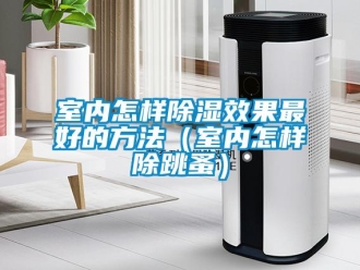 企業新聞室內怎樣除濕效果最好的方法（室內怎樣除跳蚤）