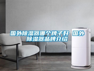 行業新聞國外除濕器哪個牌子好 國外除濕器品牌介紹