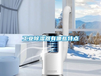 行業新聞工業除濕器有哪些特點