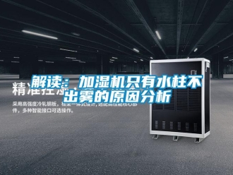 行業新聞解讀：加濕機只有水柱不出霧的原因分析